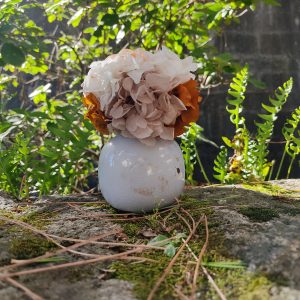 soliflore Hortensias