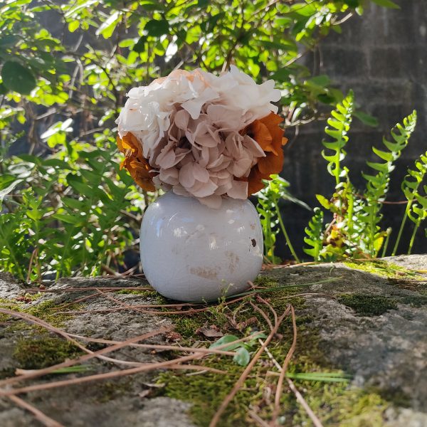 soliflore Hortensias